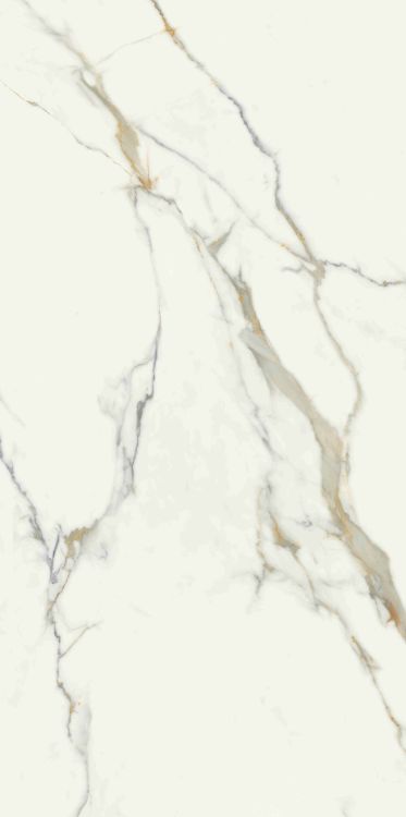 Time Dorado Polished 24 x 48